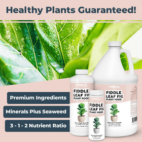 TPS NUTRIENTS liquid plant food bottle pour demonstrates easy feeding for vibrant indoor leaves.