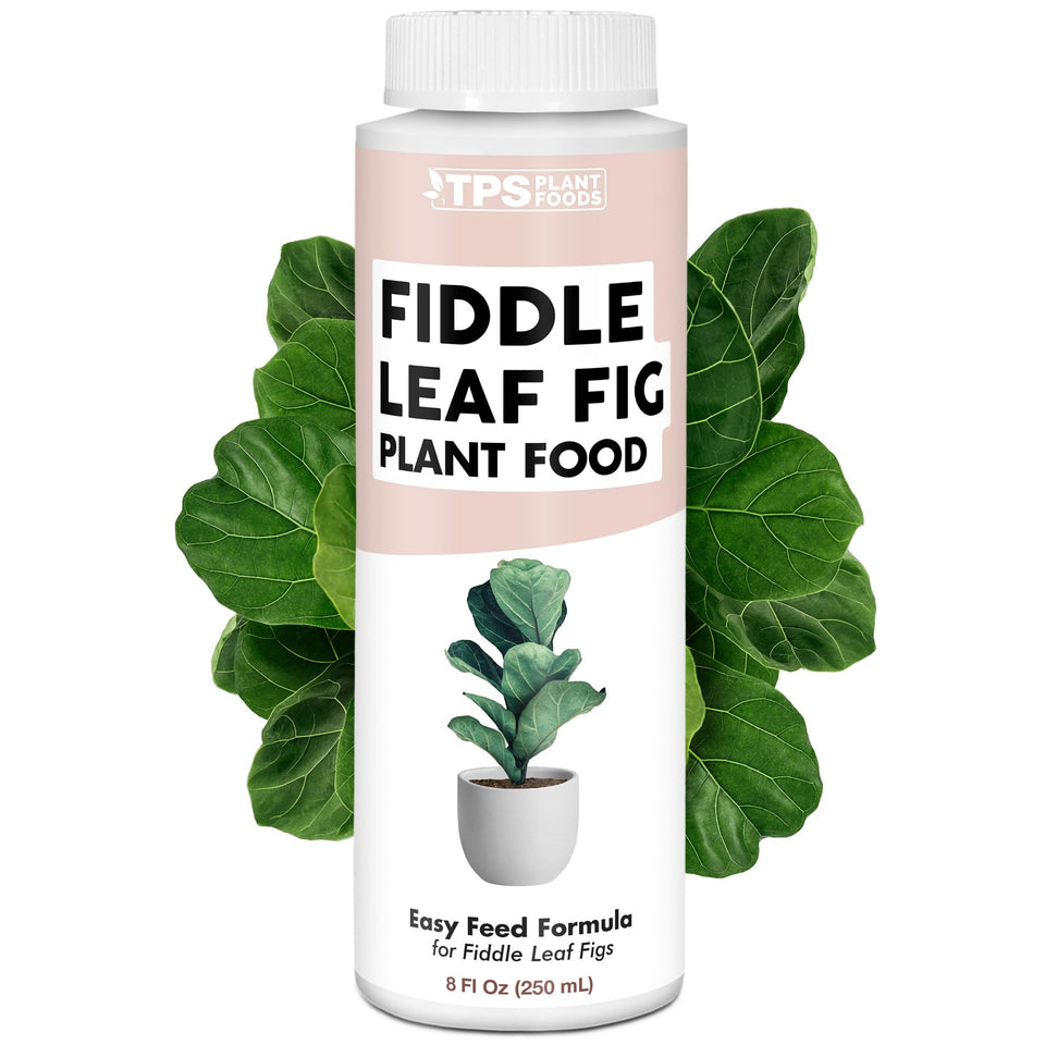 TPS NUTRIENTS fiddle leaf fig bottle highlights a premium plant food for healthy growth.