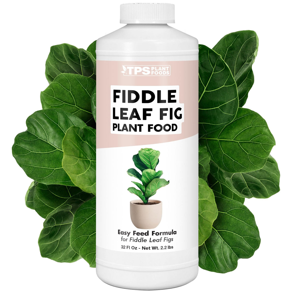 TPS NUTRIENTS fiddle leaf fig liquid fertilizer bottle for bigger leaves