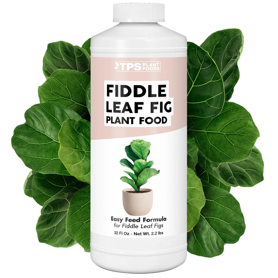 TPS NUTRIENTS fiddle leaf fig liquid fertilizer bottle for bigger leaves