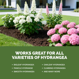 TPS NUTRIENTS garden bed hydrangea application promoting steady growth
