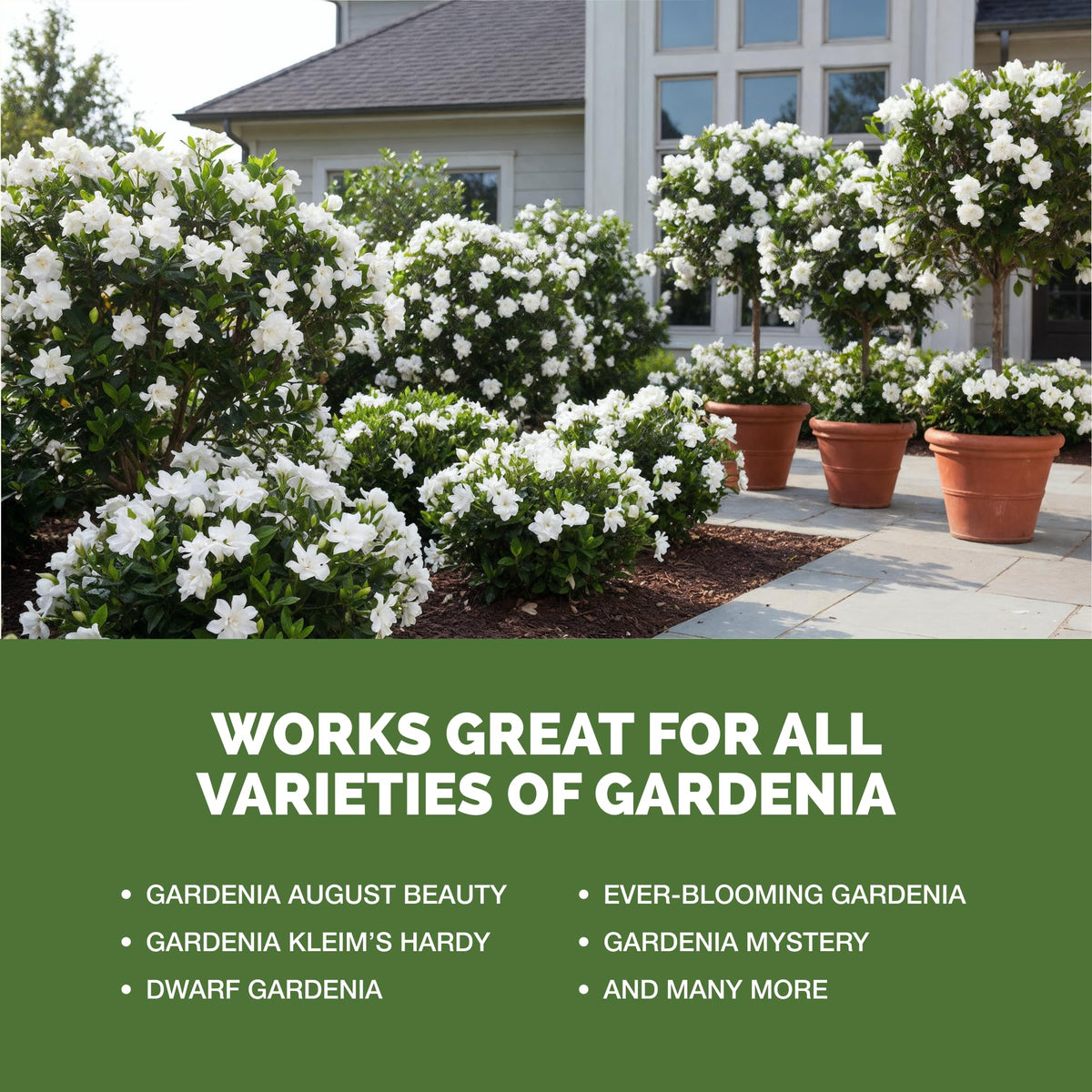 TPS NUTRIENTS Gardenia Fertilizer 32oz bottle label for garden care