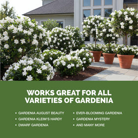 TPS NUTRIENTS Gardenia Fertilizer 32oz bottle label for garden care