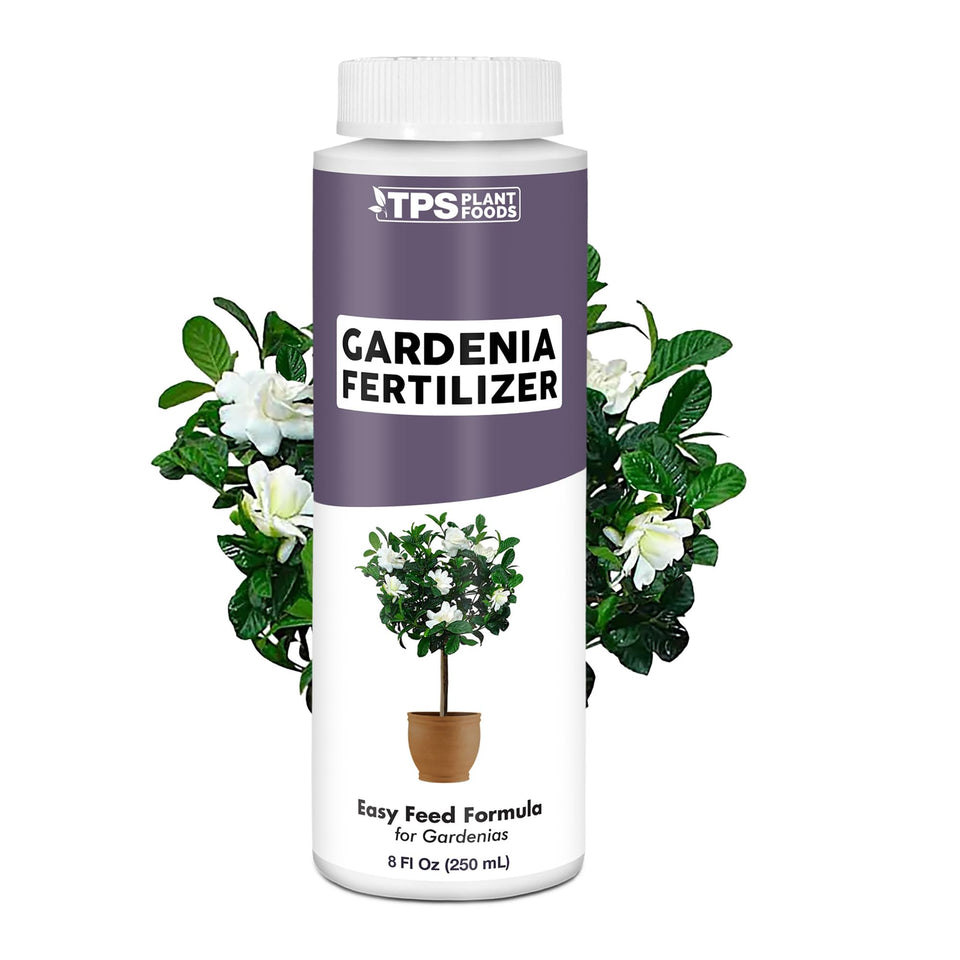 TPS NUTRIENTS Gardenia Fertilizer bloom closeup enhances vibrant blooms and glossy leaves