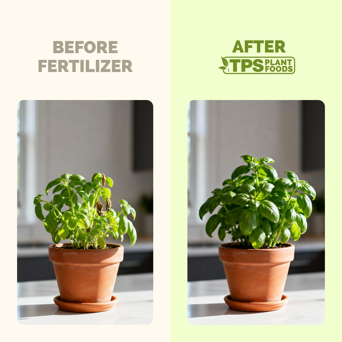 TPS NUTRIENTS Herb Plant Food promotes lush green herb growth