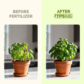 TPS NUTRIENTS Herb Plant Food promotes lush green herb growth