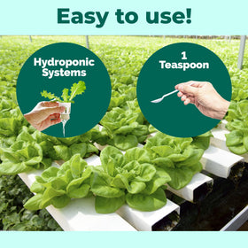 TPS NUTRIENTS in-water hydroponics setup supports consistent root development