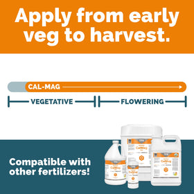 TPS NUTRIENTS Hydroponics system setup demonstrates compatibility with indoor growing