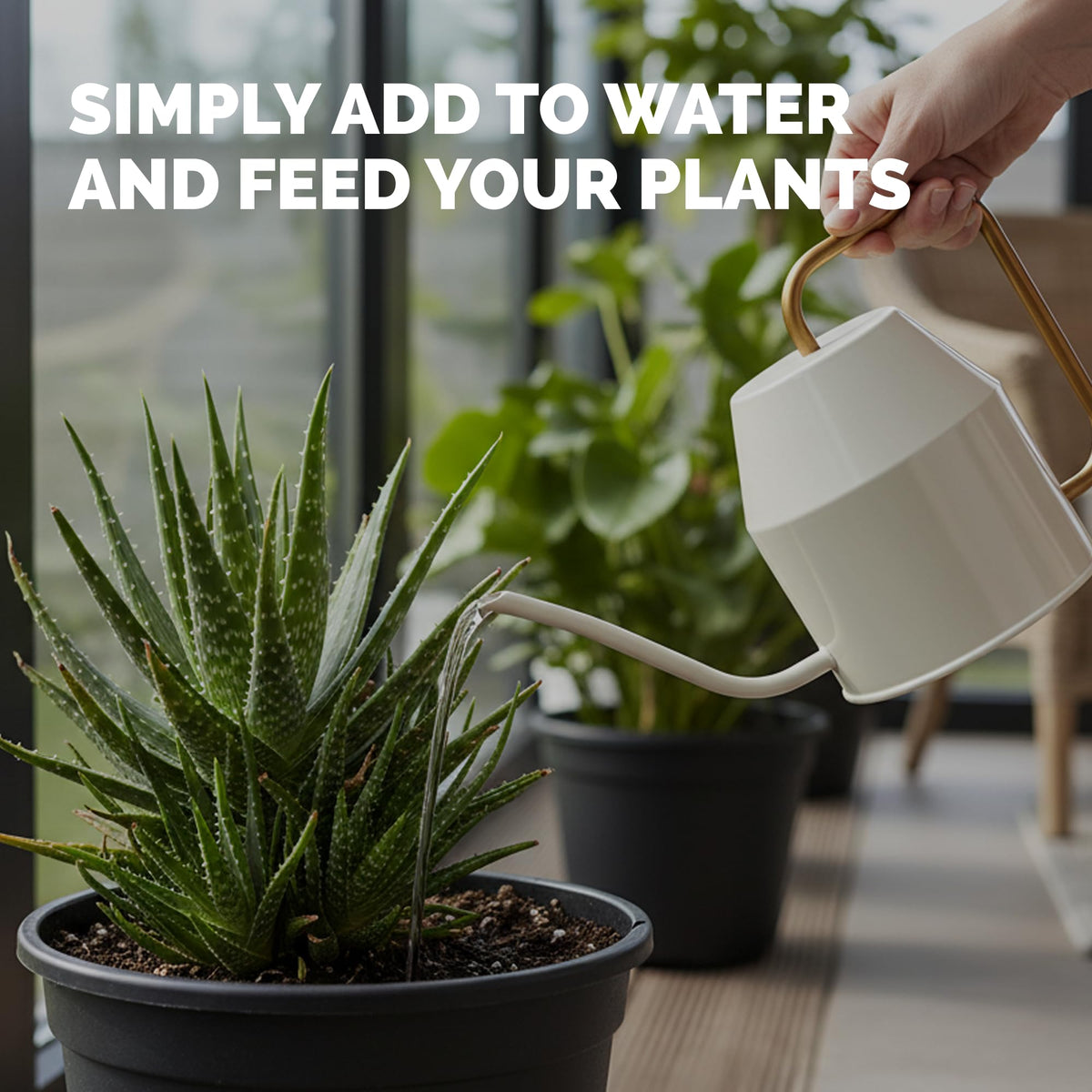 TPS NUTRIENTS Indoor/outdoor container plants thrive with regular feeding.