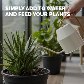 TPS NUTRIENTS Indoor/outdoor container plants thrive with regular feeding.