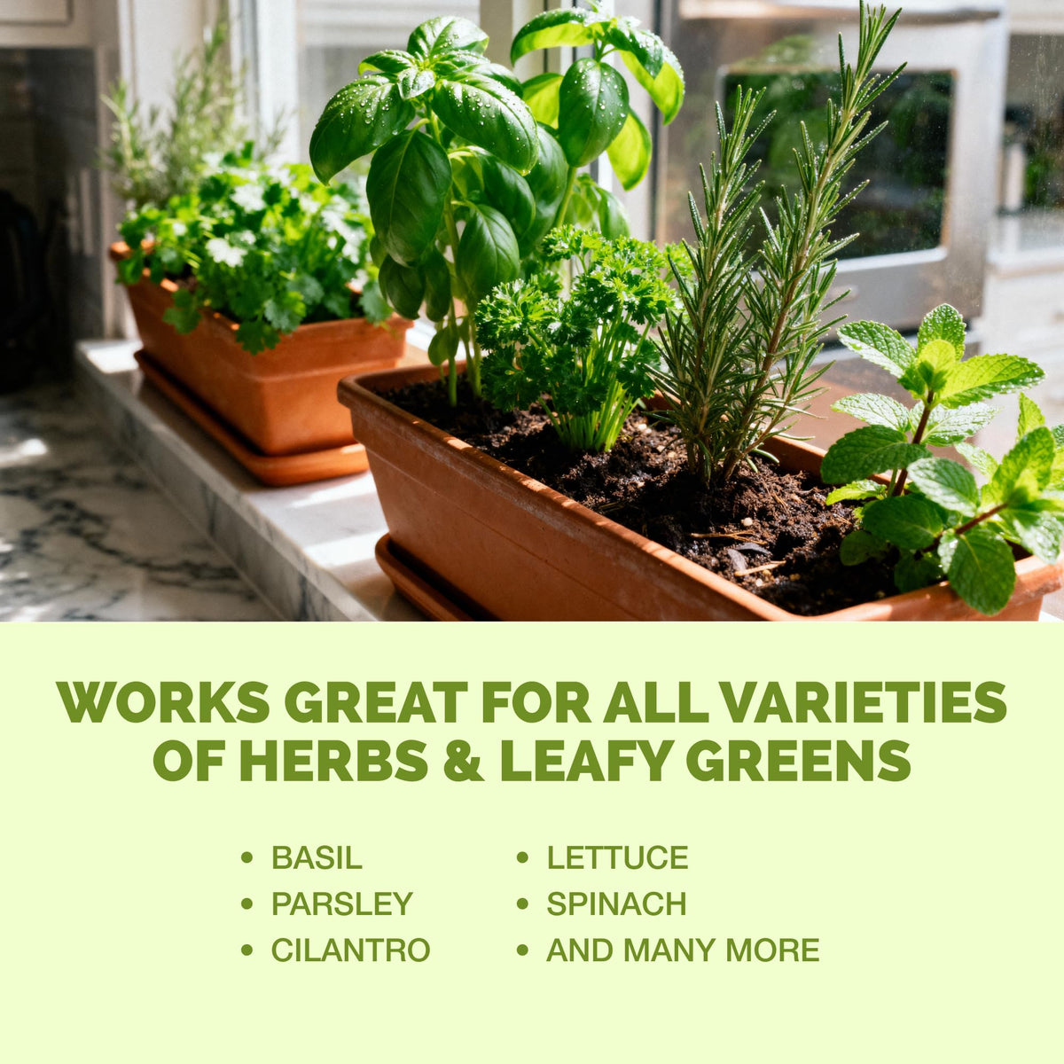 TPS NUTRIENTS Indoor-outdoor herb nutrition for versatile care