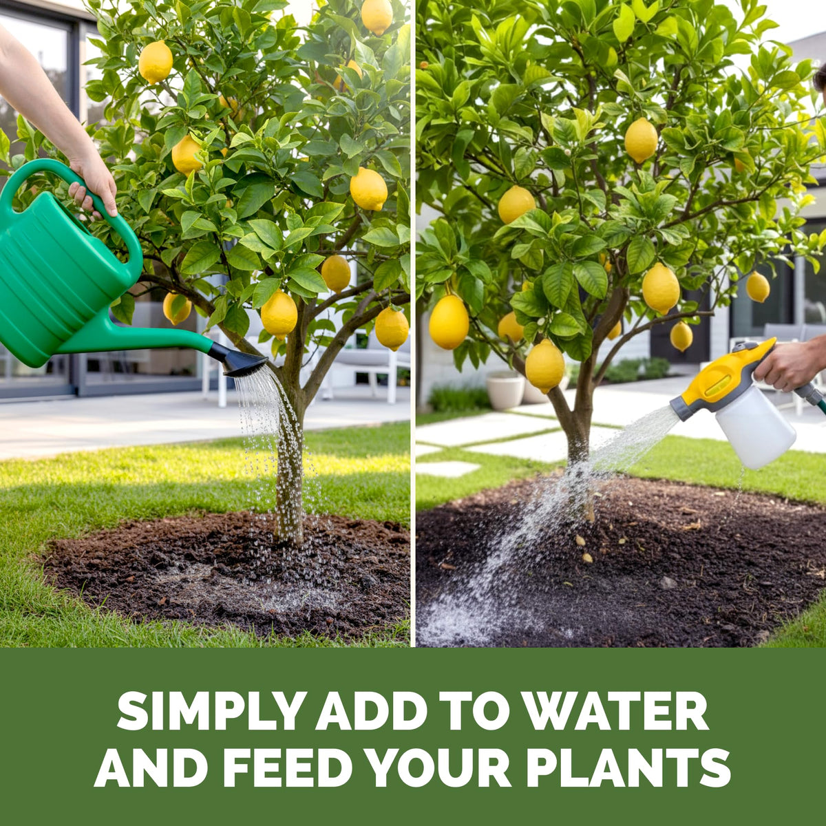 TPS NUTRIENTS Lemon Tree Fertilizer container side communicates product details and USA-made quality.