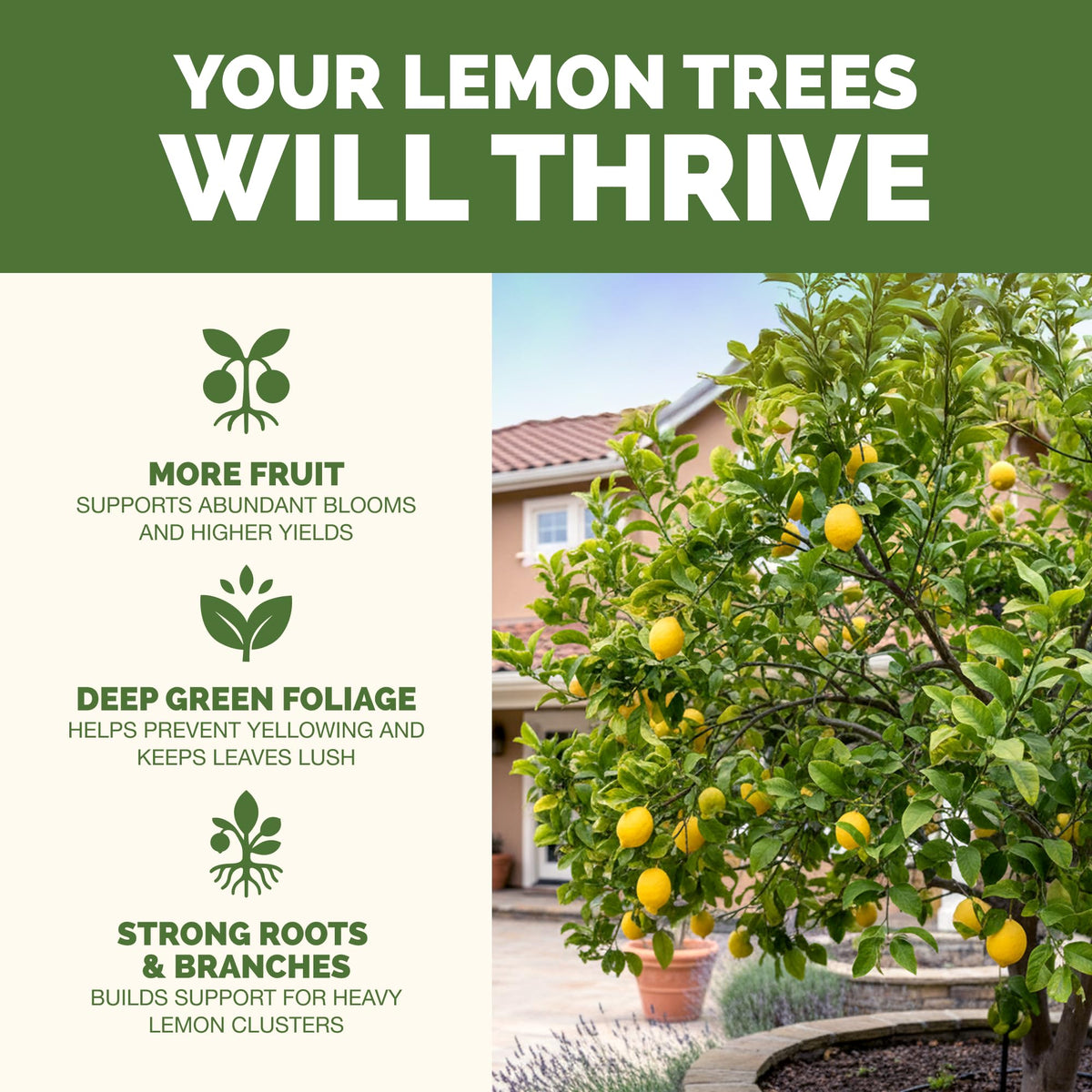 TPS NUTRIENTS Lemon Tree Fertilizer dosing-spout enables precise feeding for steady fruiting.