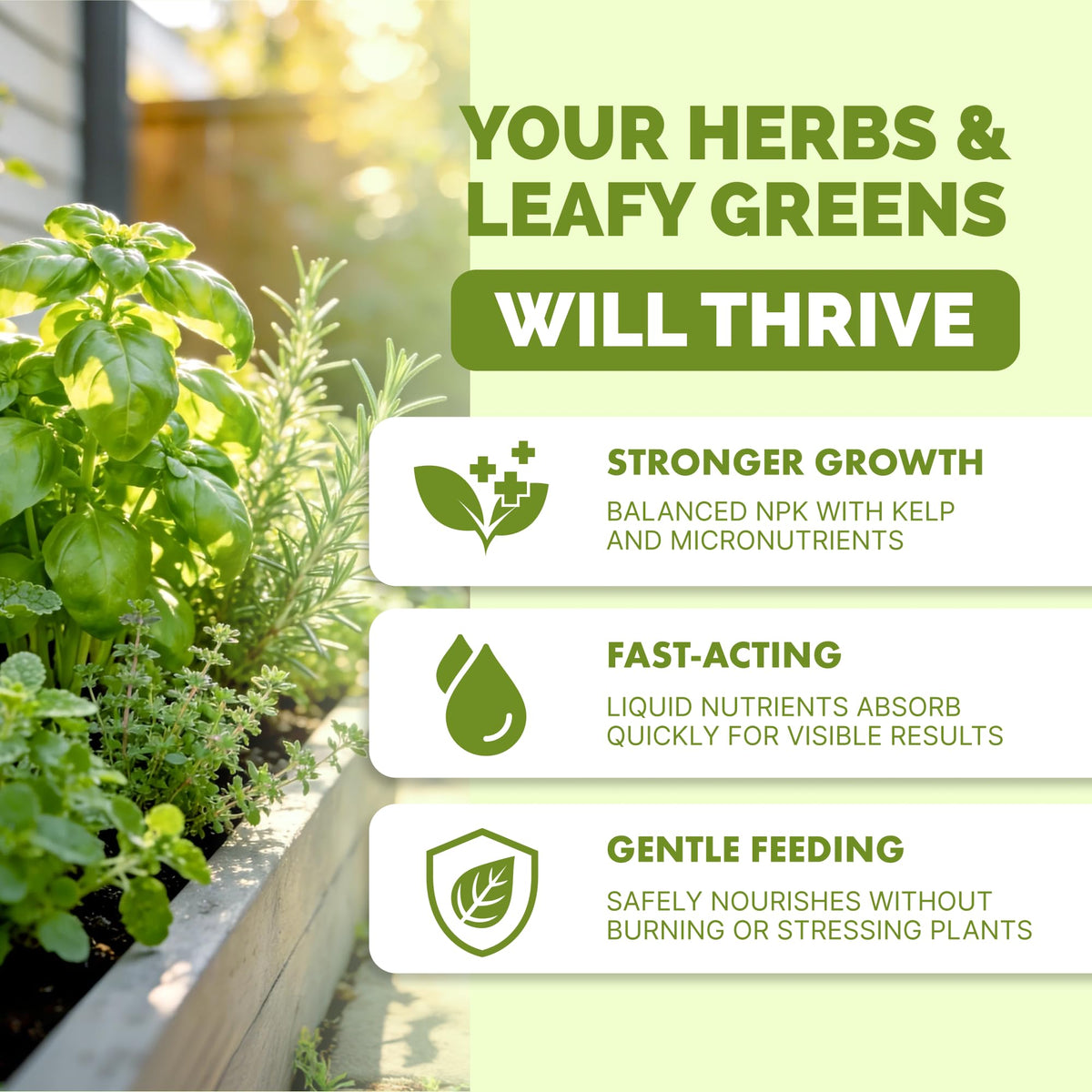 TPS NUTRIENTS Liquid Fertilizer drops aid growth for herbs