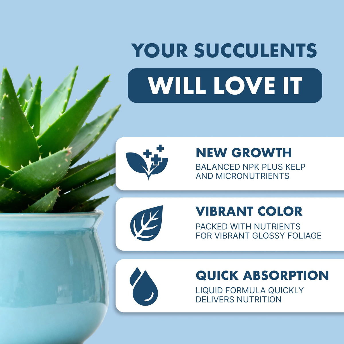 TPS NUTRIENTS liquid plant food for succulents during watering promotes even nutrition.