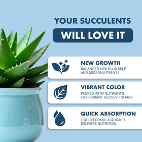 TPS NUTRIENTS liquid plant food for succulents during watering promotes even nutrition.