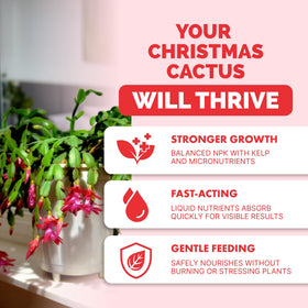 TPS NUTRIENTS liquid plant food boosts bloom color in holiday cacti