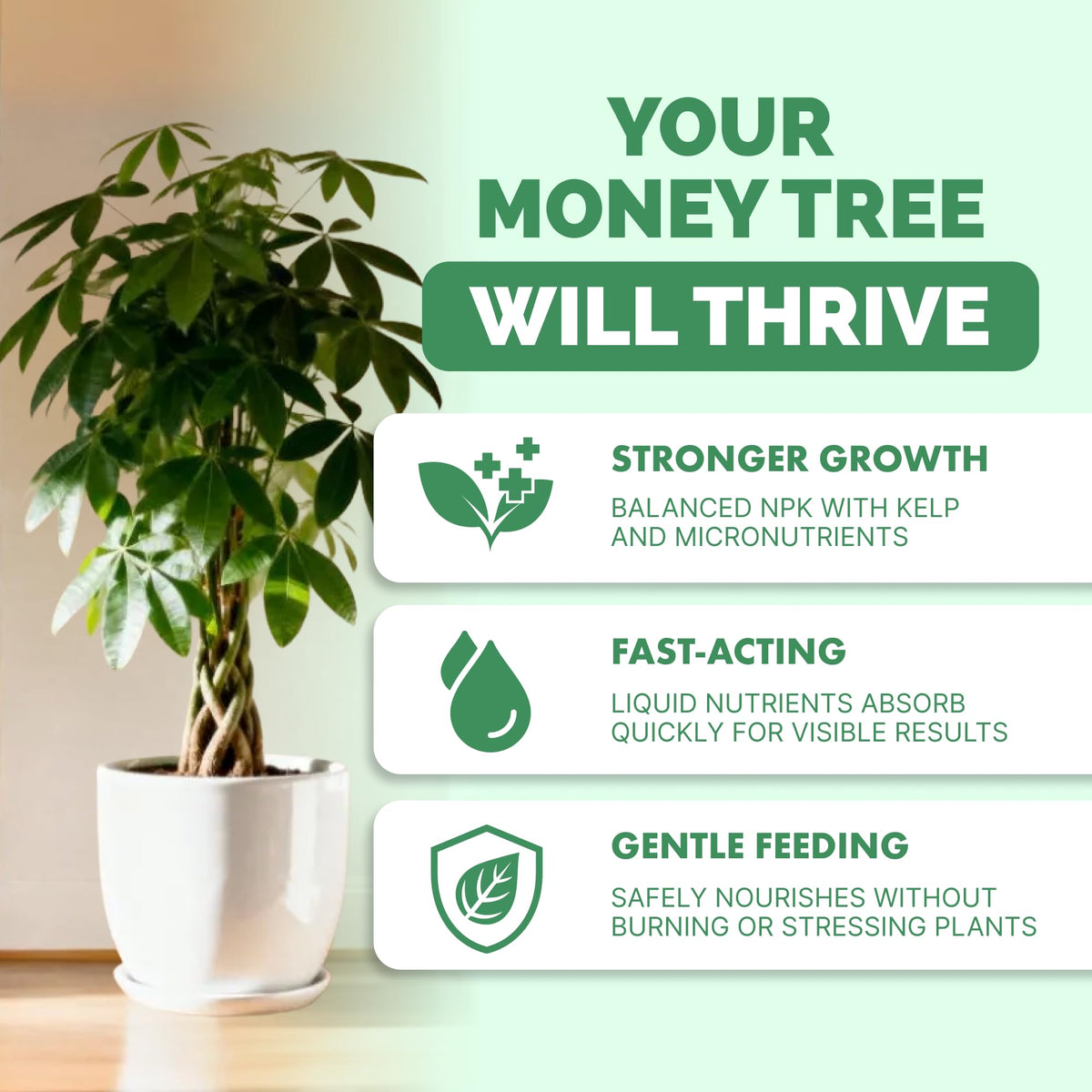 TPS NUTRIENTS Money Tree Fertilizer foliage closeup promotes lush leaves