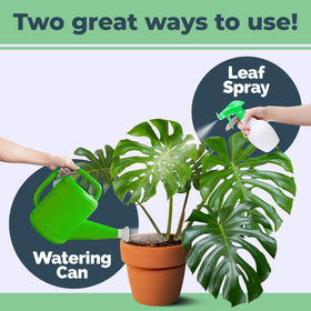 Monstera roots strengthened by TPS NUTRIENTS plant food for resilient growth