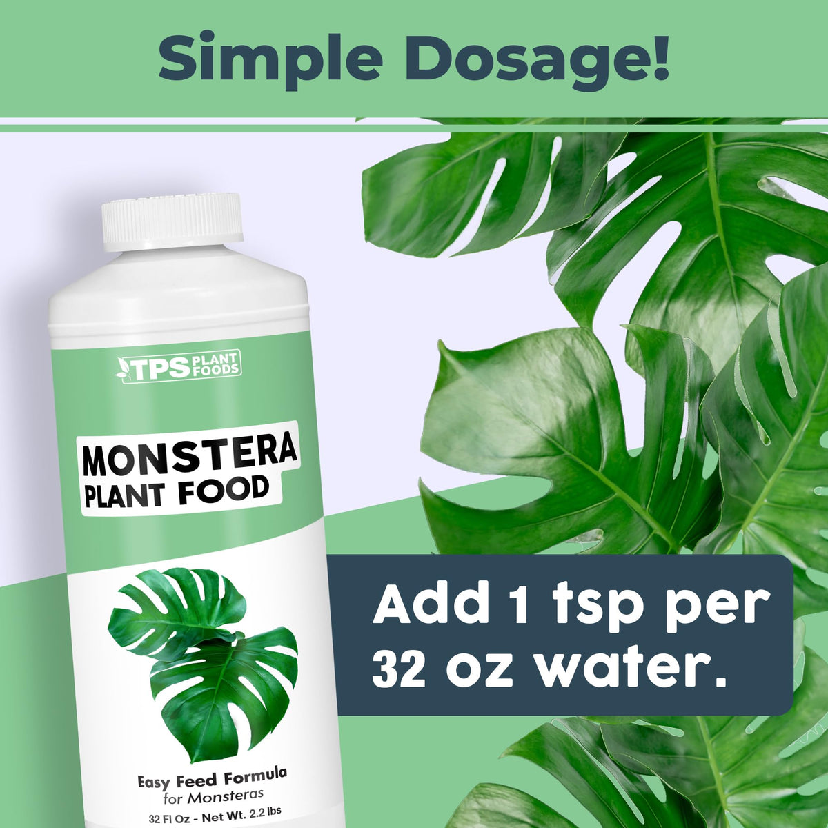 TPS NUTRIENTS Monstera roots gaining strength from balanced nutrition