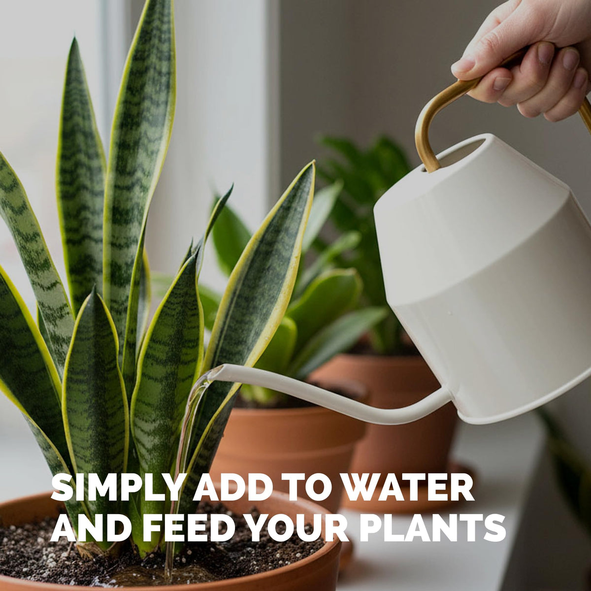 TPS Nutrients nutrient-uptake enhancement conveys better nutrient absorption