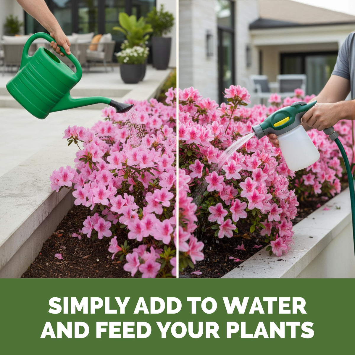 TPS NUTRIENTS Outdoor garden bed azaleas benefiting from steady nourishment