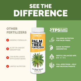 Outdoor landscape with vibrant fronds treated by TPS NUTRIENTS fertilizer