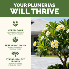 TPS NUTRIENTS Plumeria Fertilizer dosing cup in use, promoting even growth