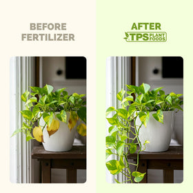 TPS NUTRIENTS pothos fertilizer dosing shot enables precise feeding