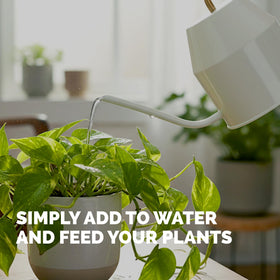 TPS NUTRIENTS pothos fertilizer near roots promotes steady indoor growth