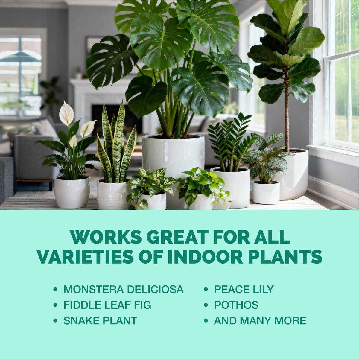 TPS NUTRIENTS repotting care aids smoother transitions for houseplants.