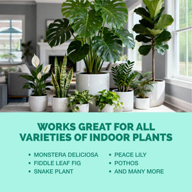 TPS NUTRIENTS repotting care aids smoother transitions for houseplants.