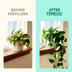 TPS Nutrients root-support graphic illustrates stronger roots and balanced development