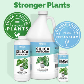 TPS NUTRIENTS silica strong stems illustration for resilient indoor and outdoor growth