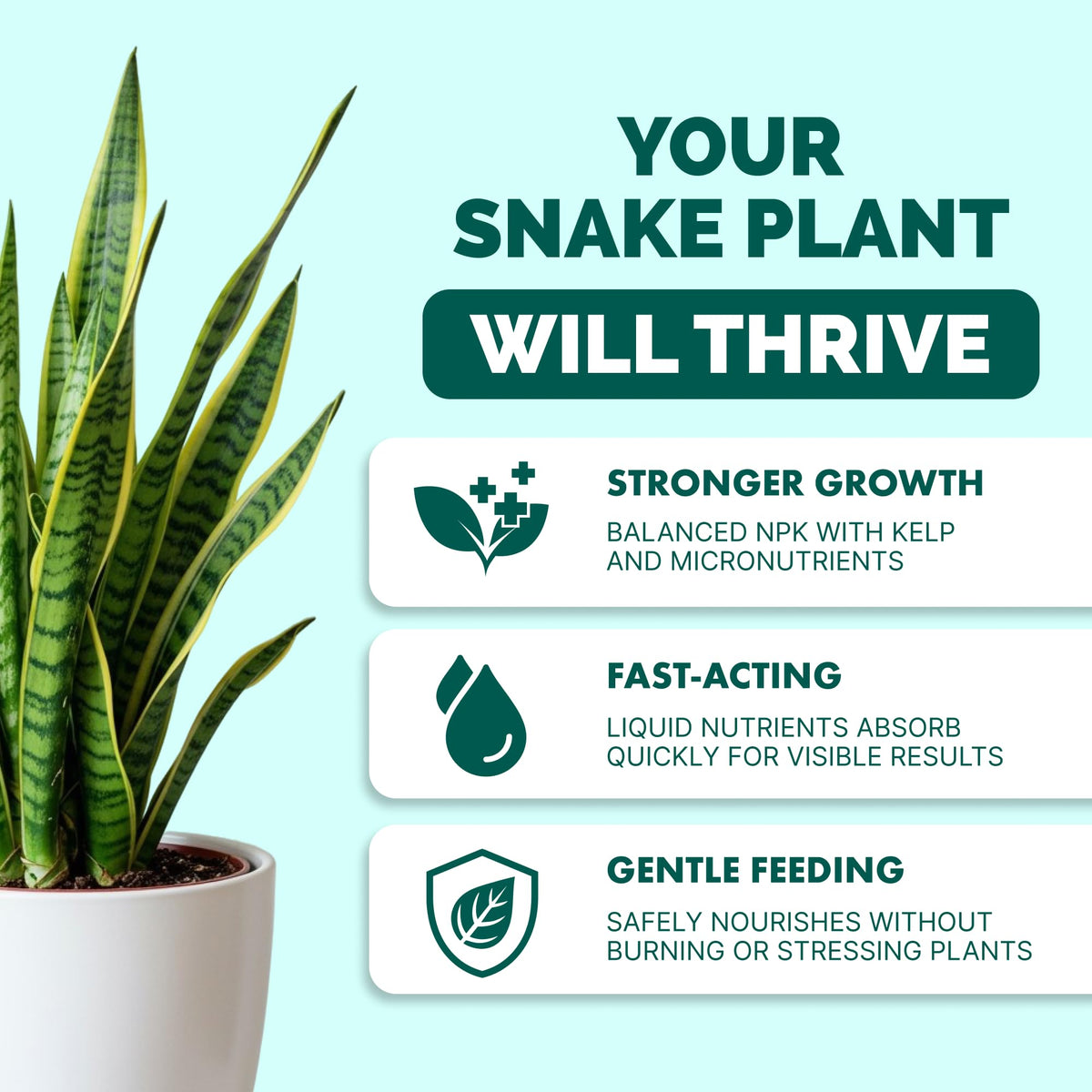 TPS NUTRIENTS Snake Plant Fertilizer label detail highlights gentle nutrition for low-maintenance care.