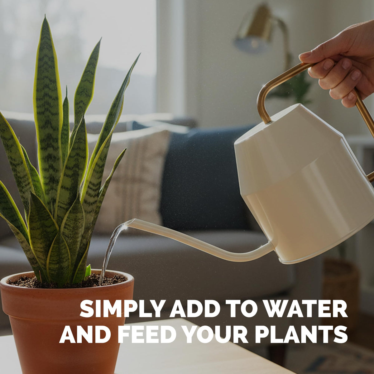 TPS NUTRIENTS Snake Plant Fertilizer supports strong roots and balanced growth.