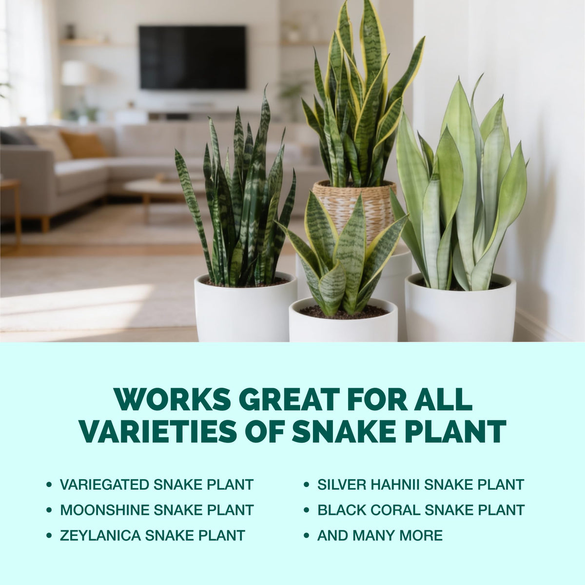 TPS NUTRIENTS Snake Plant Fertilizer supports upright growth.