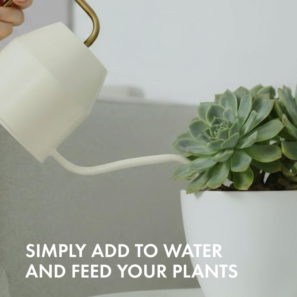 TPS NUTRIENTS strong-root development supports healthy potted succulents.