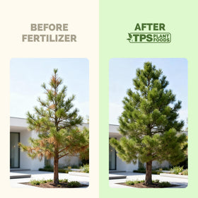 TPS NUTRIENTS Tree Fertilizer promotes deeper roots for healthier trees