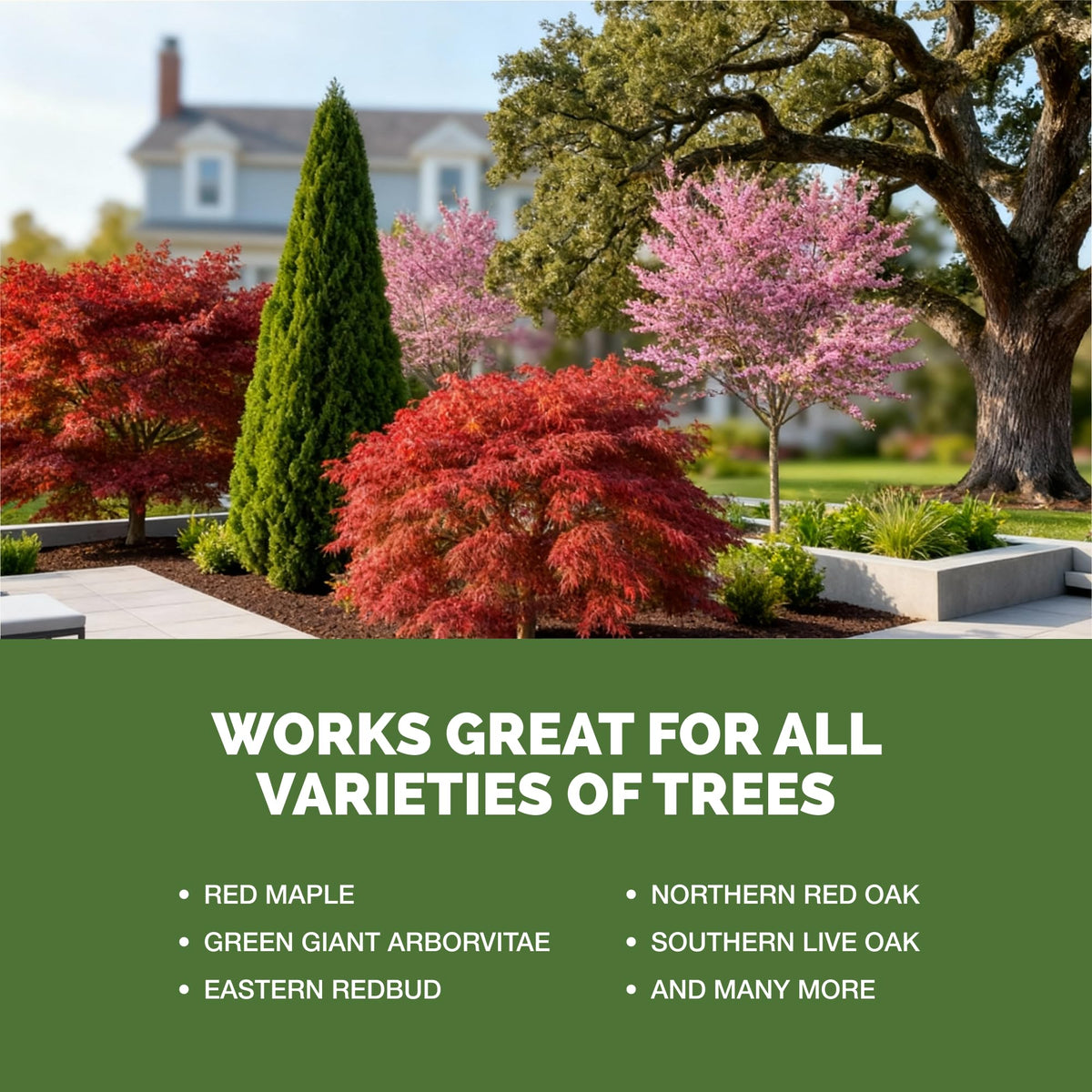 Outdoor landscape use of TPS NUTRIENTS Tree Fertilizer benefits yard trees