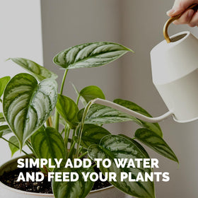 Made in USA TPS NUTRIENTS tropical plant fertilizer