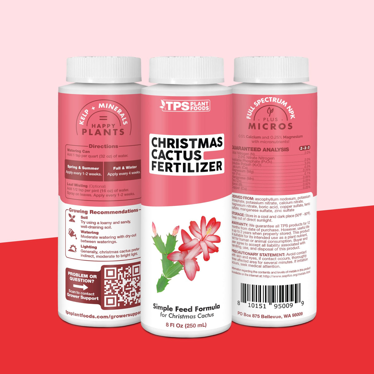 TPS NUTRIENTS window sill display ready for festive decor