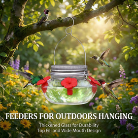 TPZAERK crystal-clear bottle lets you monitor nectar levels at a glance.