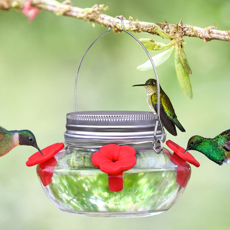TPZAERK glass hummingbird feeder in mason jar style attracts hummingbirds and enhances decor.