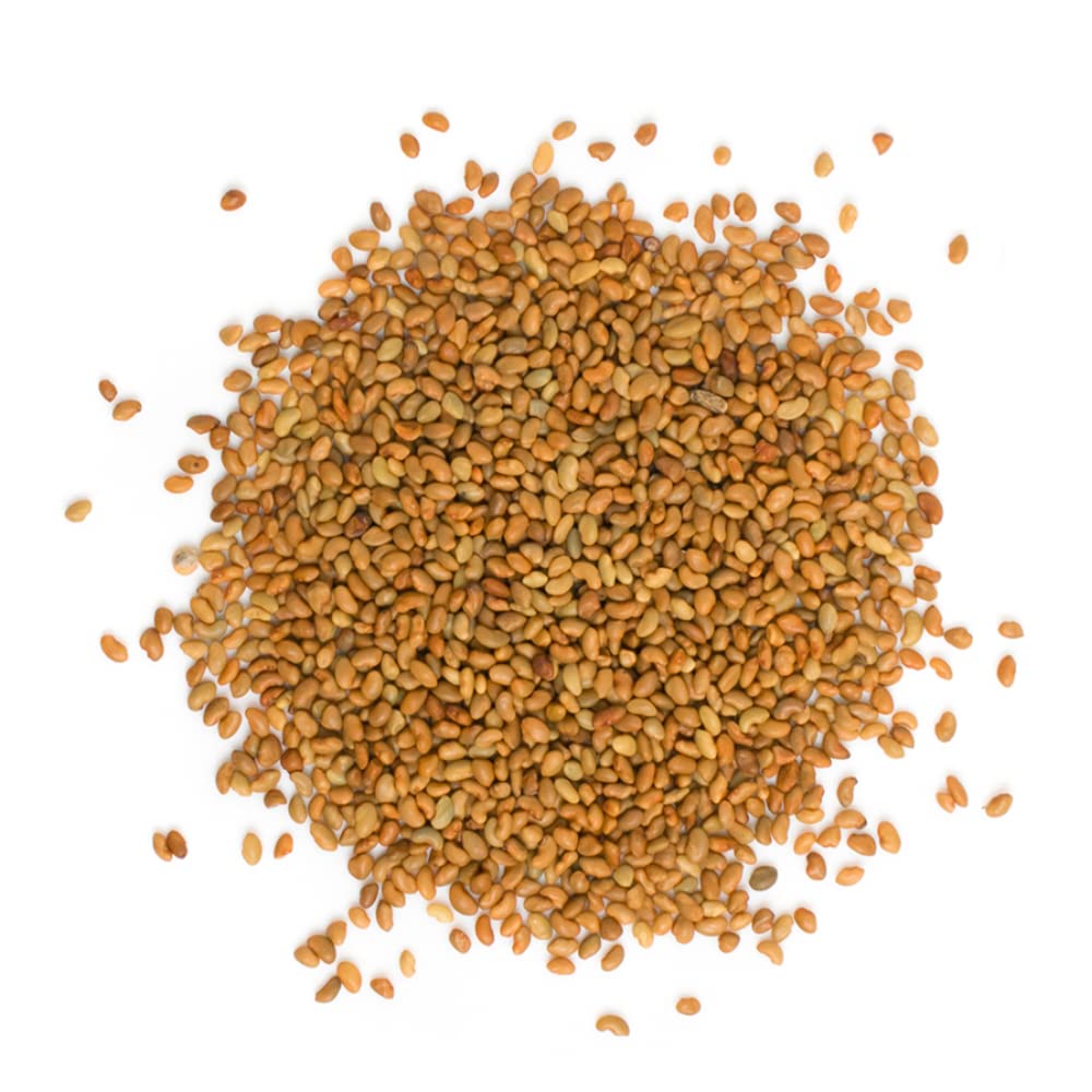 TradeKing alfalfa sprouts jar setup shows quick growth for fresh salads.