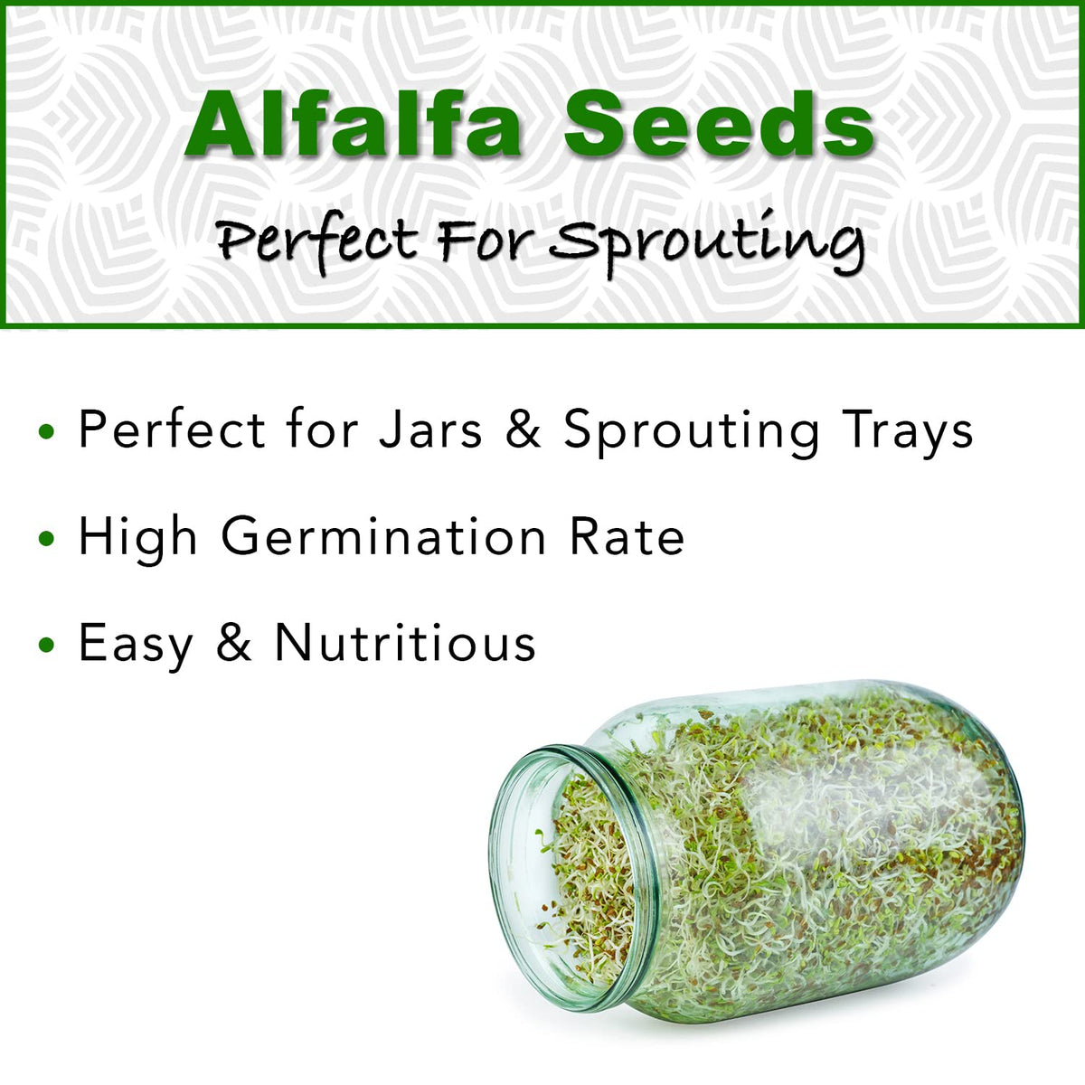 TradeKing organic alfalfa seeds with CCOF label for high germination.