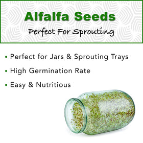 TradeKing organic alfalfa seeds with CCOF label for high germination.