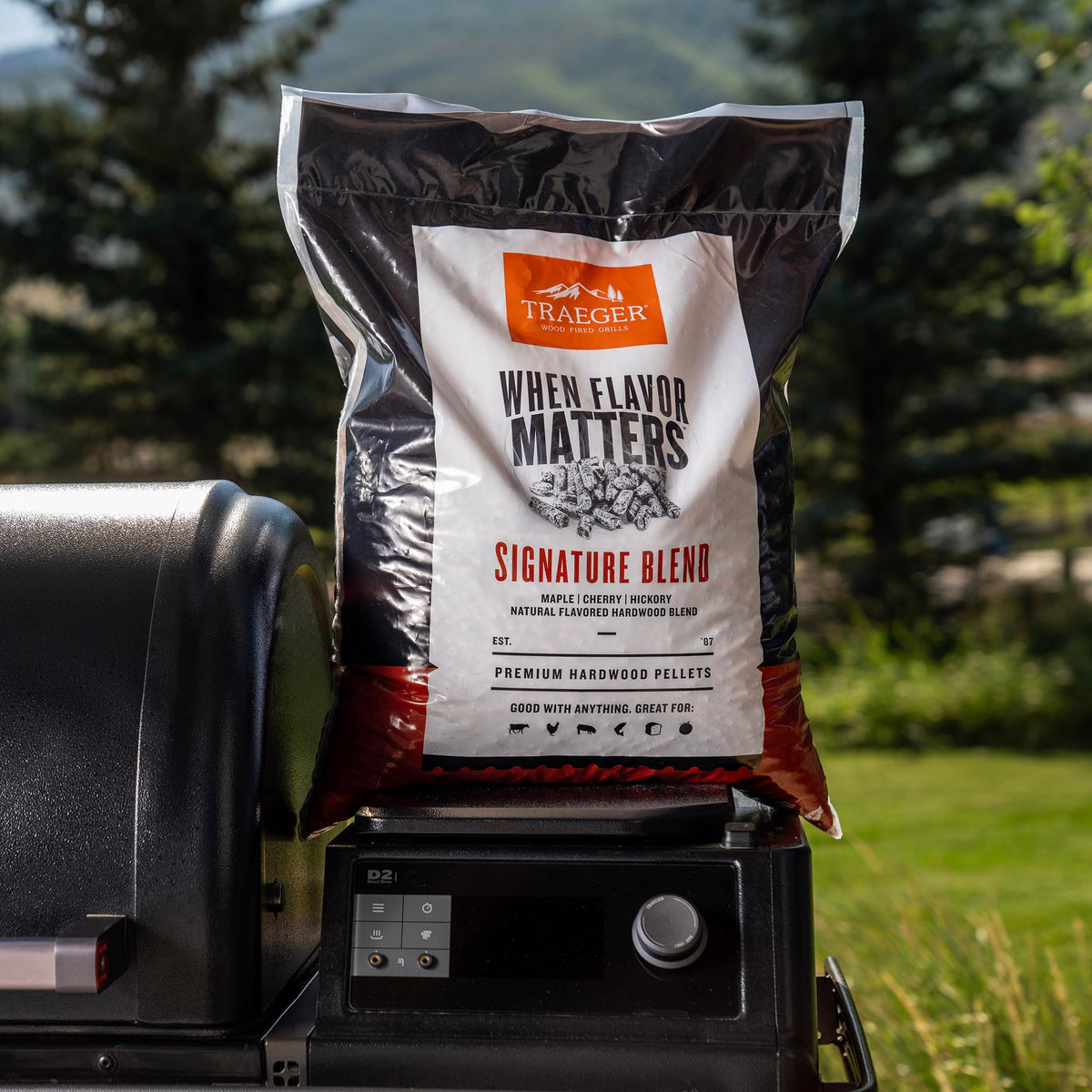 Bag on grill setup suggests ready-to-use versatility for meals