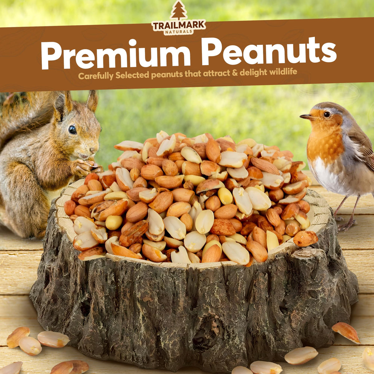 Trailmark Naturals peanuts attract wild birds at backyard feeders.