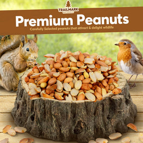 Trailmark Naturals peanuts attract wild birds at backyard feeders.